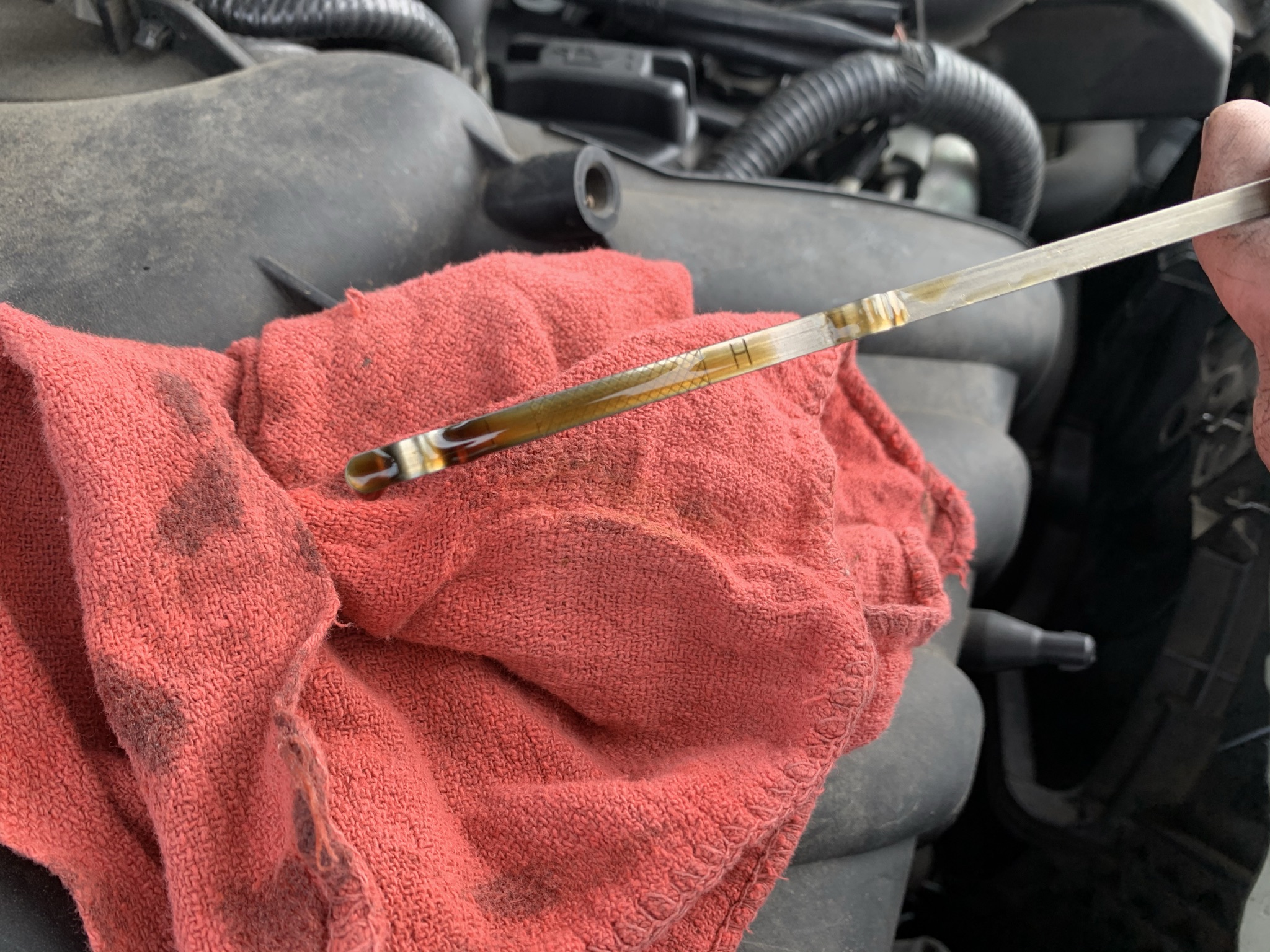 Graham Auto Repair Check My Oil Blog - Oil Level is Not Low - Graham, WA 98338